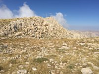 img_0095