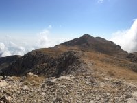 img_0102