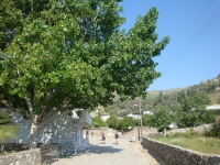 DSC00848
