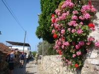 DSC00852