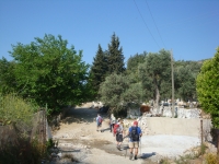DSC00856