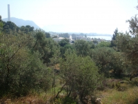 DSC00859