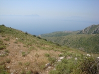 DSC00883