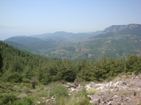 DSC00898