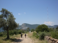 DSC00903