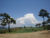 DSC00906