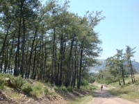 DSC00908