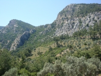DSC00918