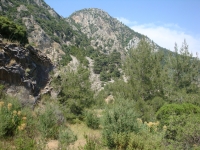 DSC00929