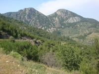 DSC00932
