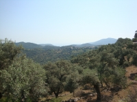 DSC00937