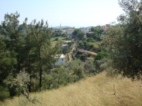 DSC00939
