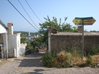 DSC00941