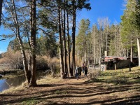 78cba431-0d83-4e09-bd10-bf6604d0795c