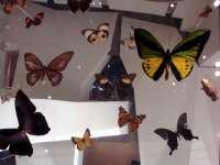 DSC05119