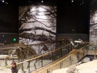 DSC05130000-DSC05134