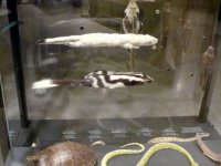 DSC05166