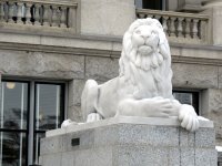 IMG_0050