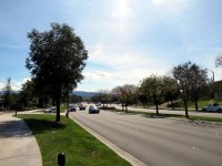 IMG_4291