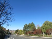 IMG_7947