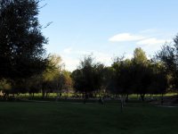 IMG_3828
