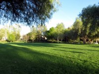 IMG_3838