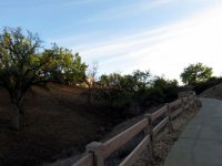 IMG_3856
