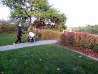 IMG_3866
