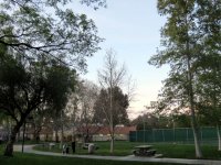 IMG_3880