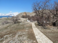 IMG_9731