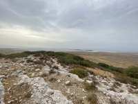 IMG_7322