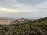 IMG_7328