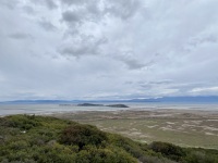 IMG_9230
