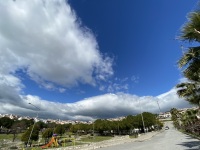 IMG_9780