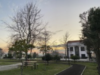 IMG_1833