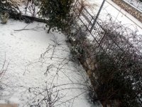 DSC01199