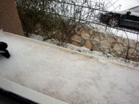 DSC01201