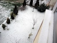 DSC01203