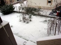 DSC01208