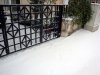 DSC01217