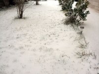 DSC01221