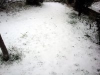DSC01226