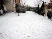 DSC01227