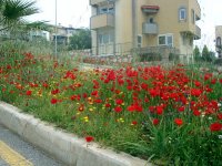 DSC08370