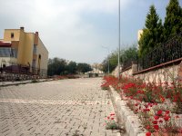 DSC08385