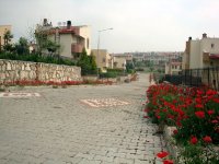 DSC08389