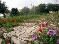 DSC08390