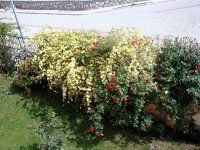 dsc08586