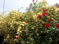 dsc08587