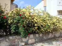 dsc08588